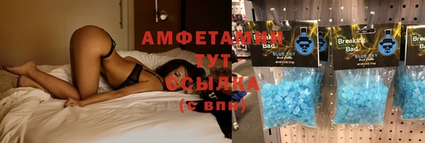 индика Лагань