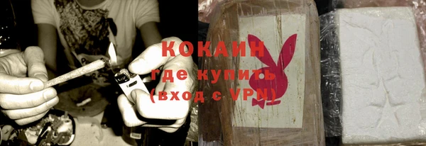 индика Лагань