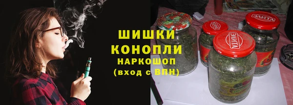 индика Лагань