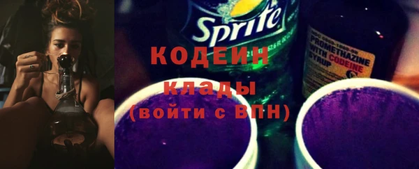 индика Лагань