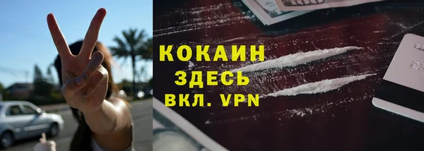 индика Лагань