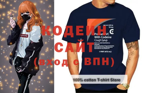 индика Лагань
